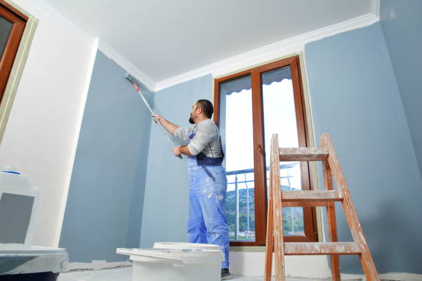 Best Mold Removal for HVAC Installations  in Neenah, WI