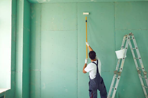 Best Mold Damage Restoration  in Neenah, WI