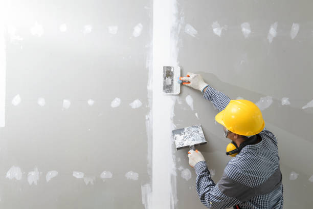  Neenah, WI Mold Removal Pros