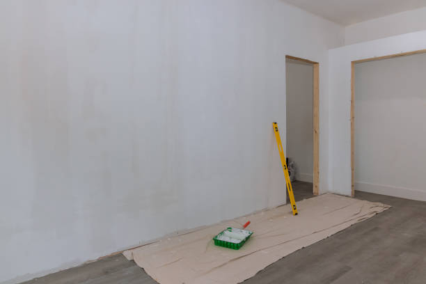 Best Post-Construction Mold Inspection  in Neenah, WI