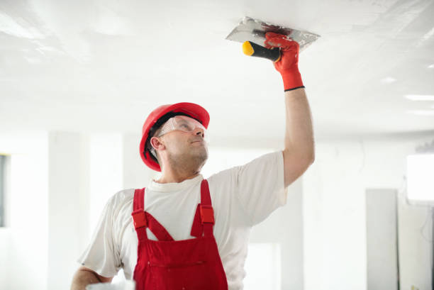 Best Environmental Consulting for Mold Prevention  in Neenah, WI
