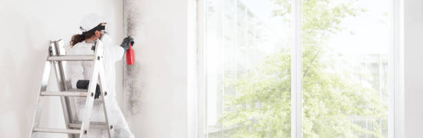 Best Mold Documentation for Insurance Claims  in Neenah, WI